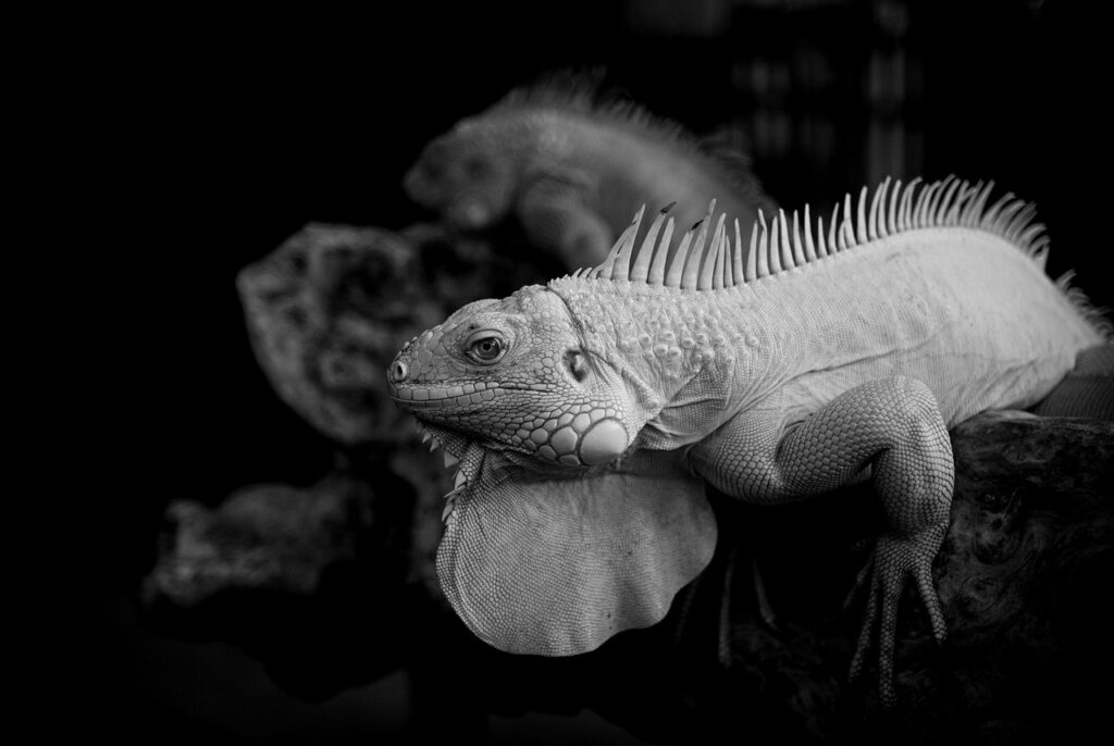 ソロ活にぴったりな女子旅向け温泉宿はどこ？