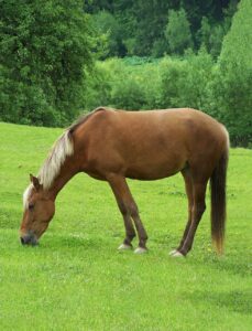 一人でリフレッシュするためのおすすめ方法は？