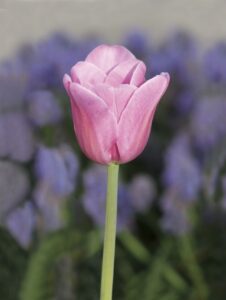 一人でリフレッシュするための効果的な方法は？