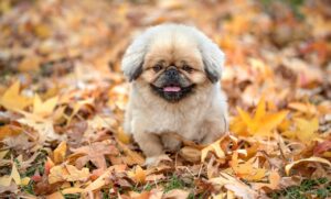 更年期モヤモヤを癒す旅プランにはどんなおすすめがありますか？