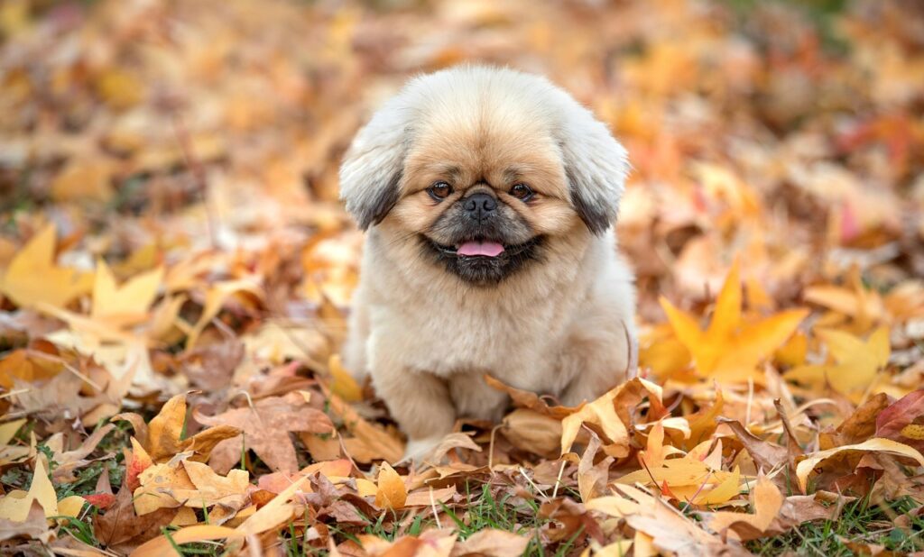 更年期モヤモヤを癒す旅プランにはどんな選択肢がある？