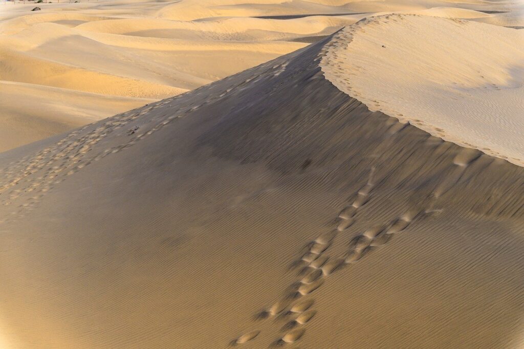 部屋風呂付きの温泉で楽しむ一人旅の魅力とは？