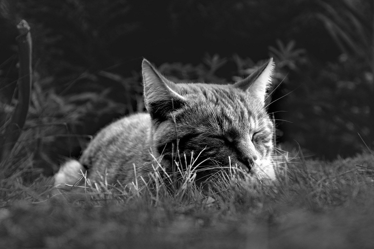 ただ休みたい温泉宿で心身をリフレッシュする方法は？