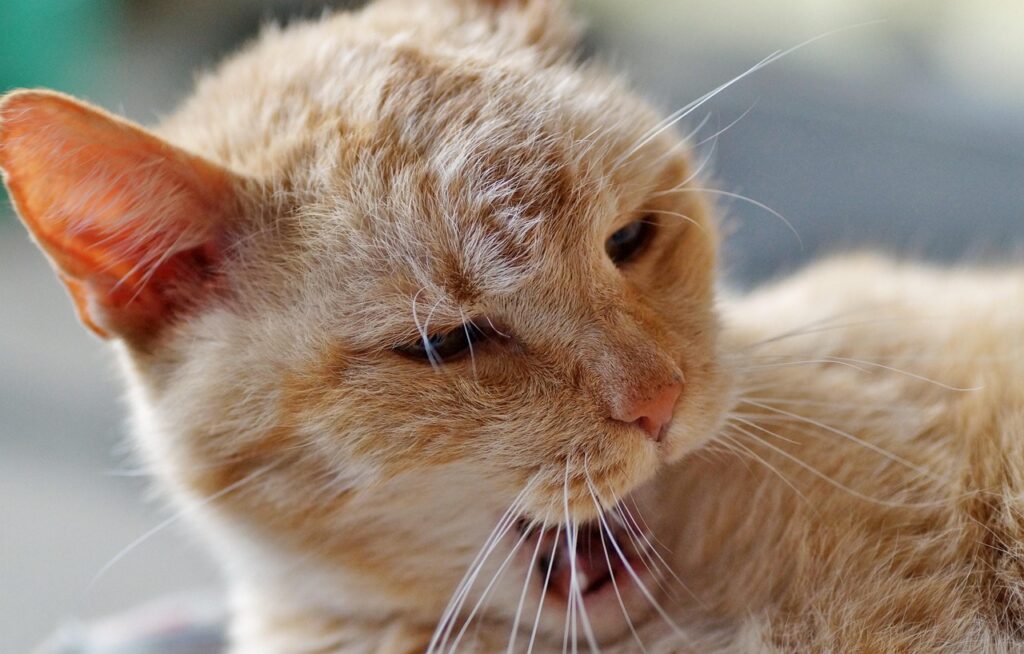 人目が気にならない温泉宿でのリラックス方法は？