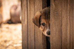 一人旅で女性におすすめの下呂温泉宿は？