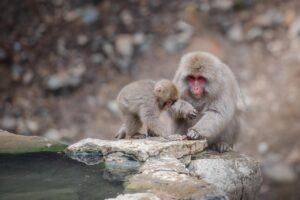 温泉宿の選び方と注意点はこれを読めばわかる？